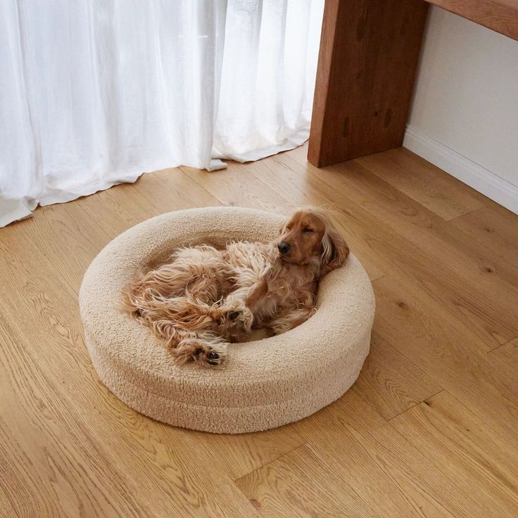 PET BED