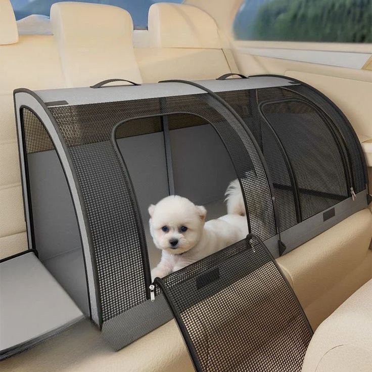 PET CARRIER